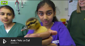 Putney High Girl Becomes TV Vet for a Day