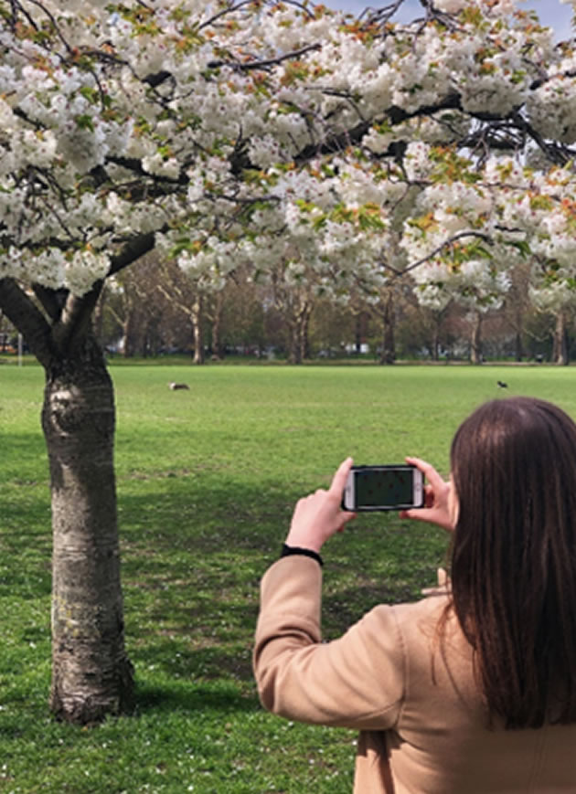 Egg-ceptional Easter Egg Trail In Battersea Park 