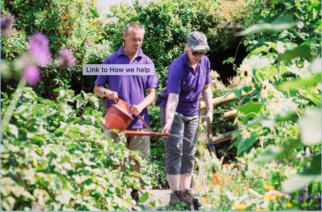 At work in the Thrive garden